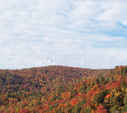 four wind turbines rising above fall-foliage-covered mountain