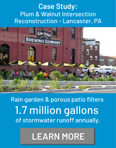 Rain Gardens: Stormwater Management Solution