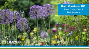 Rain Gardens: Stormwater Management Solution