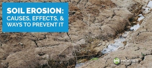 soil erosion 