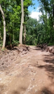 dirt road in wooded area