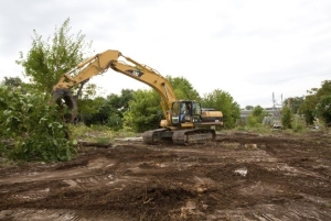 excavator clearing vegetation